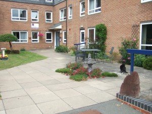 Lawns, flower beds ... and a cat