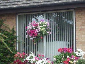 Hanging basket and windowbox