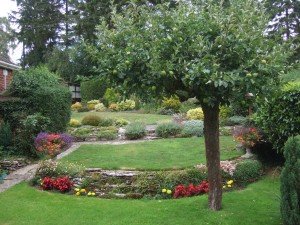Terraced garden with lawns, flower beds shrubs and fruit tree