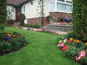 Terraced garden with lawns, flower beds, pot planters and climbing plants