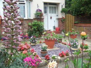 Colourful front garden with plants in pots and beds