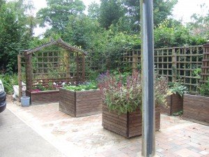 Raised beds, planted with flowers, herbs and vegetables