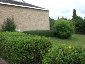 Lawns and shrubs around Methodist Church