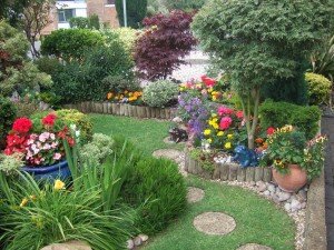 Colourful front garden with lawn edged around raised beds