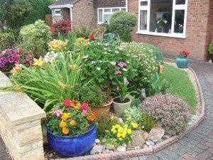 Colourful front garden with lawn edged around raised beds